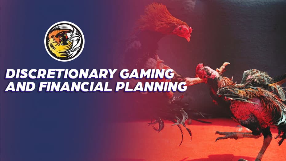 Discretionary Gaming and Financial Planning