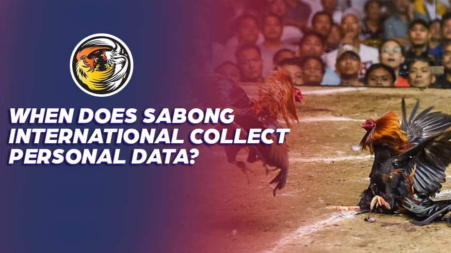 When Does Sabong International Collect Personal Data