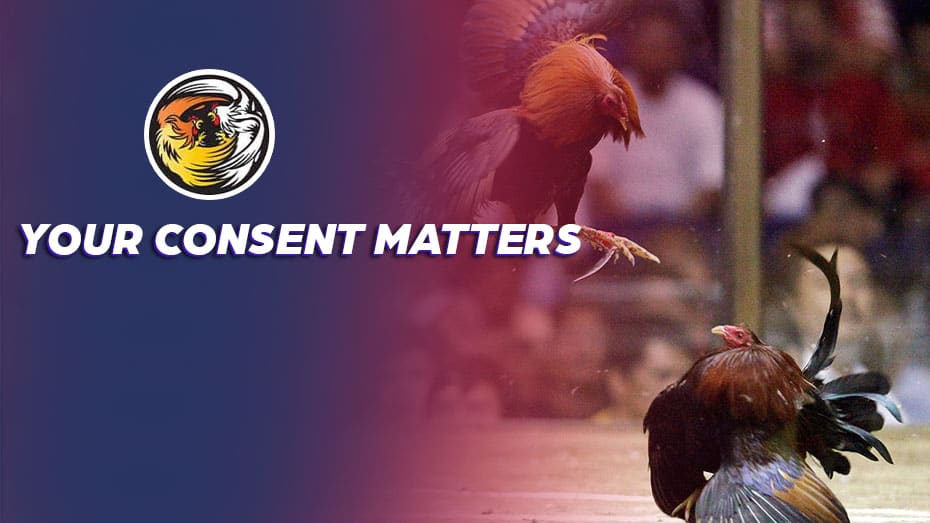 Your Consent Matters