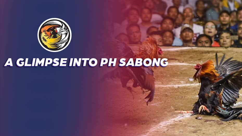 A Glimpse into PH Sabong