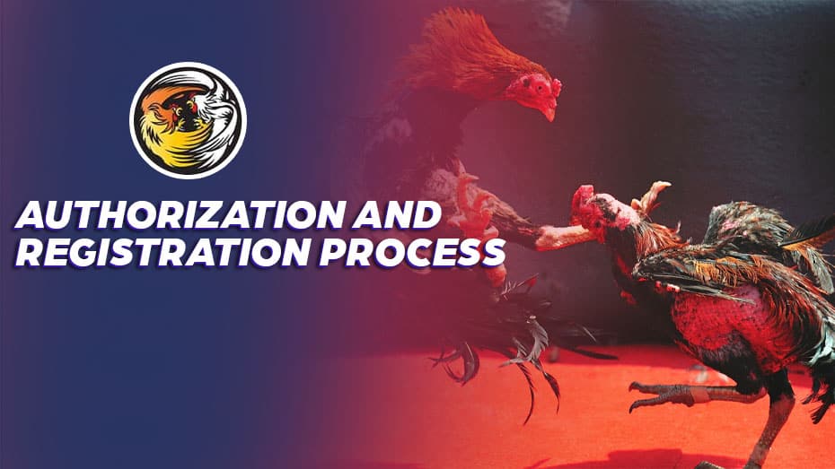 Authorization and Registration Process