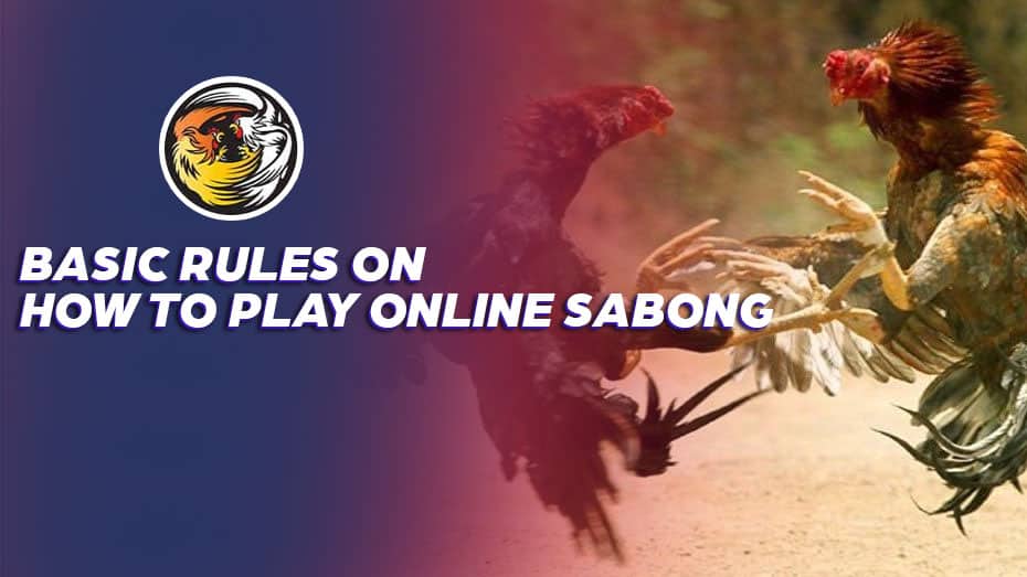 Basic Rules on How to Play Online Sabong