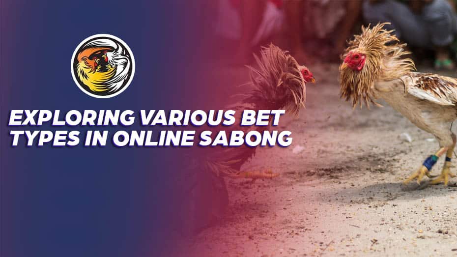 Exploring Various Bet Types in Online Sabong