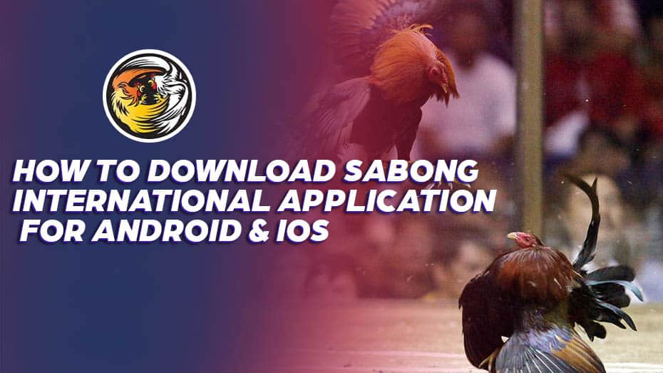 How to Download Sabong International Application for Android & iOS