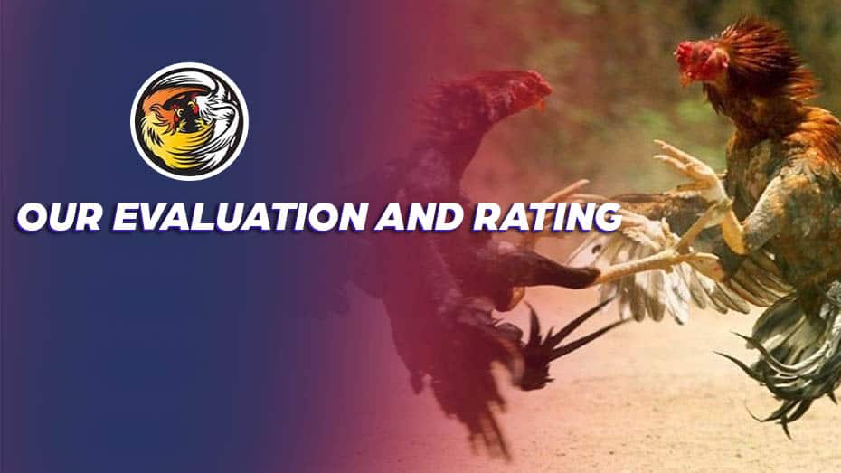 Our Evaluation and Rating