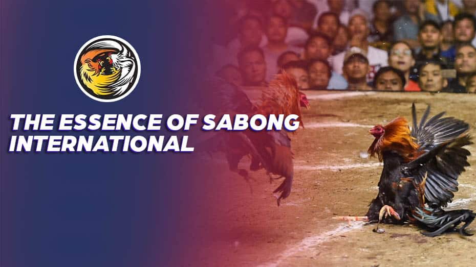 The Essence of Sabong International