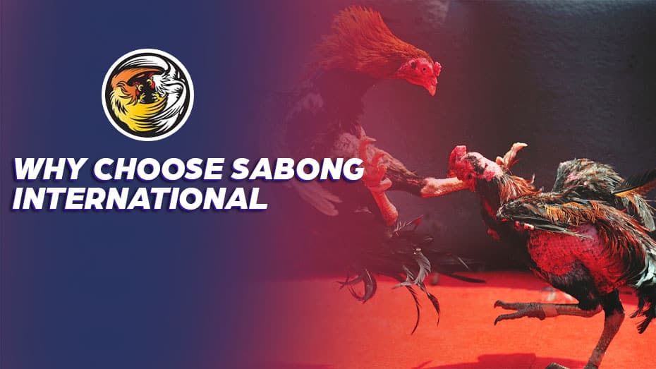 Why Choose Sabong International